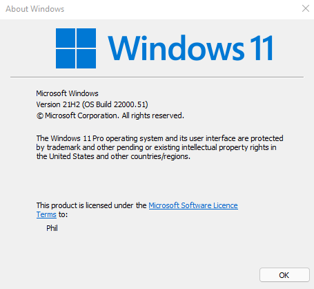 Windows 11 Insider Preview Dev 10.0.22000.51 (co_release) - June 28-image.png