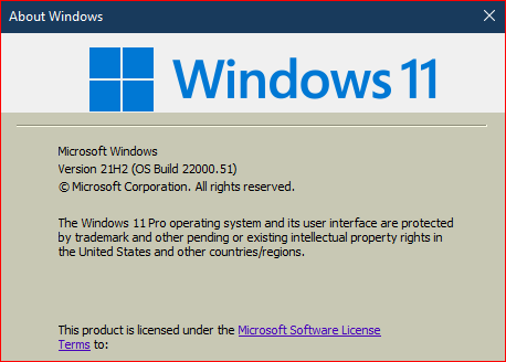 Windows 11 Insider Preview Dev 10.0.22000.51 (co_release) - June 28-insider-preview-22000.51.png