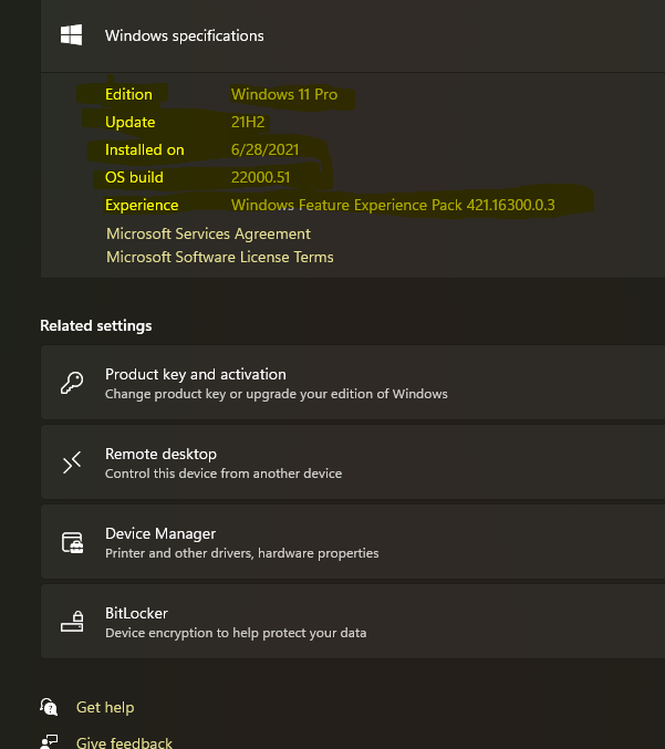 Windows 11 Insider Preview Dev 10.0.22000.51 (co_release) - June 28-capturewin11.png