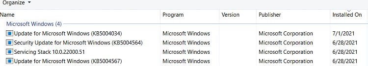 Windows 11 Insider Preview Dev 10.0.22000.51 (co_release) - June 28-5004034.png