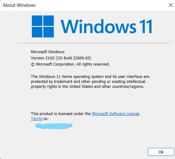 KB5004745 Windows 11 Insider Preview Dev Build 10.0.22000.65 - July 8-screenshot-204-_li.jpg