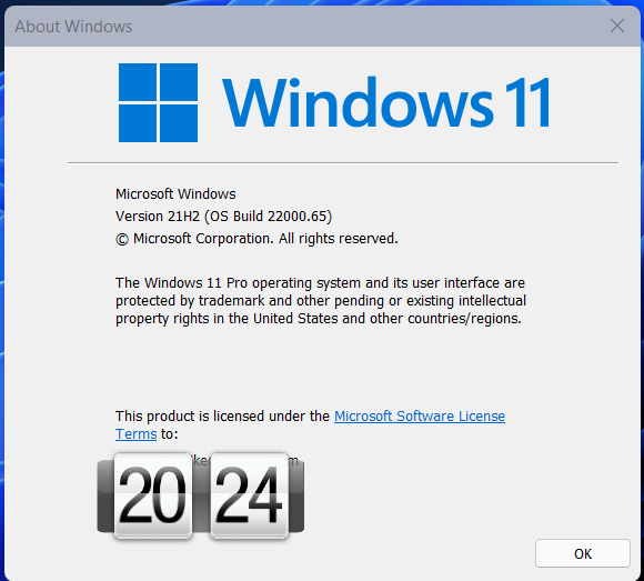 KB5004745 Windows 11 Insider Preview Dev Build 10.0.22000.65 - July 8-image.png