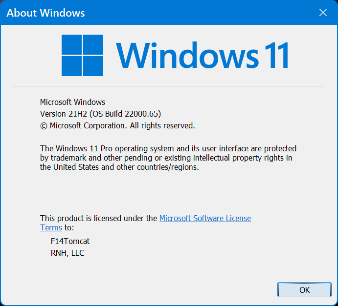 KB5004745 Windows 11 Insider Preview Dev Build 10.0.22000.65 - July 8-image.png