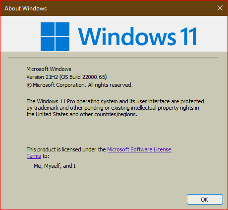 KB5004745 Windows 11 Insider Preview Dev Build 10.0.22000.65 - July 8-insider-preview-22000.65.png