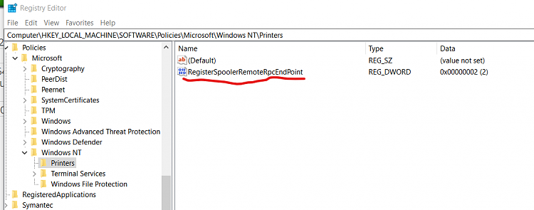 Windows Print Spooler Remote Code Execution Vulnerability-printer-reg.png