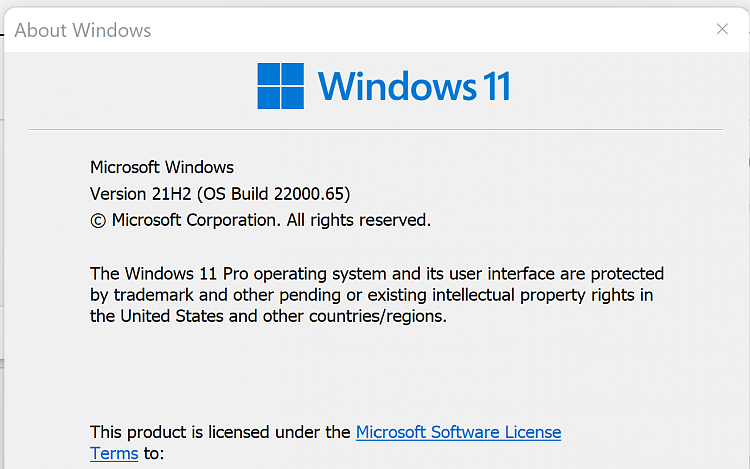 KB5004745 Windows 11 Insider Preview Dev Build 10.0.22000.65 - July 8-screenshot-2021-07-09-041109.png