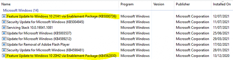 How to get the Windows 10 May 2021 Update version 21H1-image.png