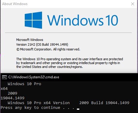 KB5009596 Windows 10 Release Preview Build 19044.1499 (21H2)-screenshot-2022-01-16-050120.jpg