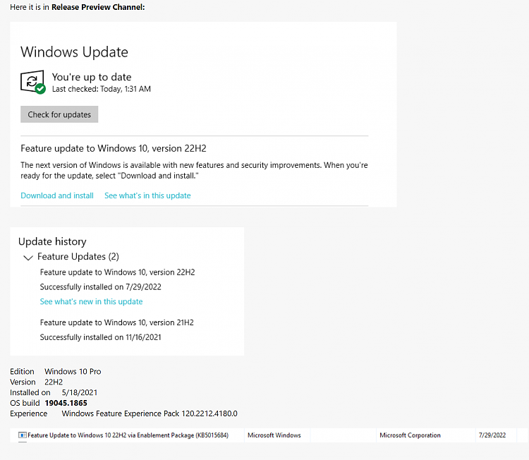 KB5015878 Windows 10 Release Preview Build 19045.1865 (22H2)-image.png