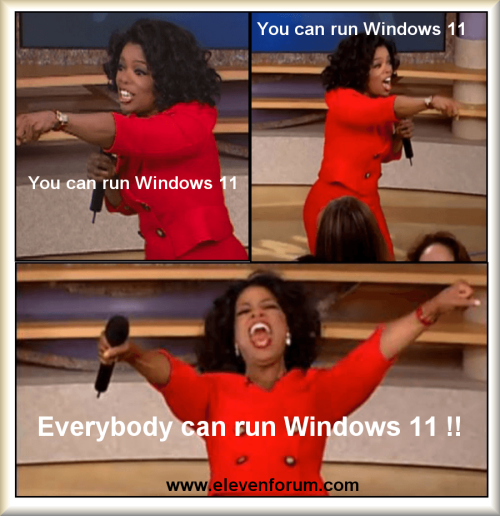 How to get the Windows 10 2022 Update version 22H2-000000-everyone-can-run-win-11.png