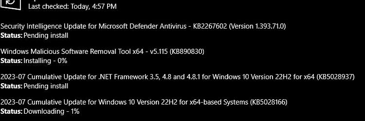 KB5028937 Cumulative Update .NET Framework 3.5, 4.8, and 4.8.1 (22H2)-update.jpg