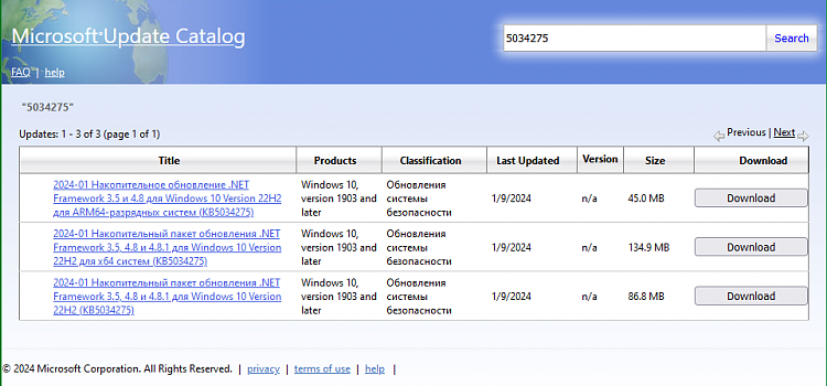 KB5034275 Cumulative Update .NET Framework 3.5, 4.8, and 4.8.1 (22H2)-kb5034275-net.png