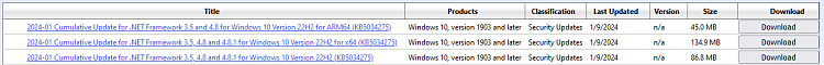 KB5034275 Cumulative Update .NET Framework 3.5, 4.8, and 4.8.1 (22H2)-fixed-now.png