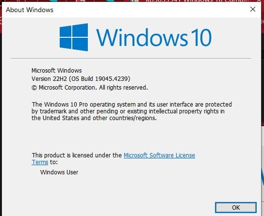 KB5035941 Windows 10 Cumulative Update Preview build 19045.4239 (22H2)-capture.jpg