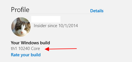 Announcing Windows 10 Insider Preview Build 10586 for PC-your-windows-build.jpg