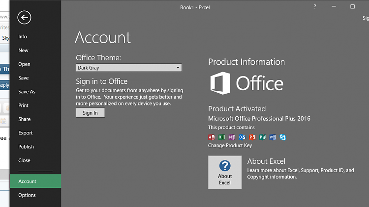 Announcing Office Insider build 16.0.6366.2062-excel.png
