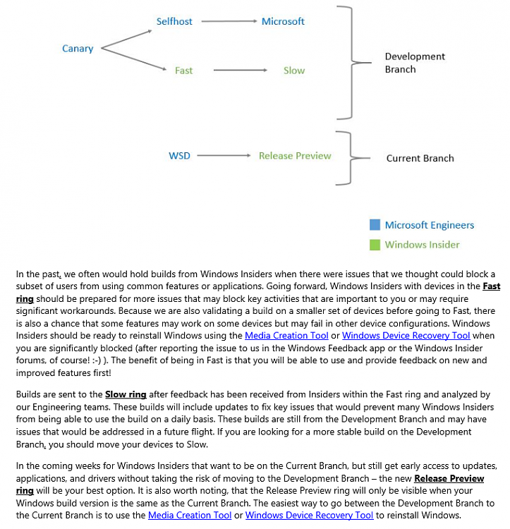 Inside WDG - Branches and Rings-3.png