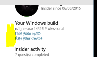 Announcing Windows 10 Insider Preview Build 14316-bug1.png