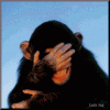 Cumulative Update KB3176495 for Windows 10 version 1607-chimp.gif