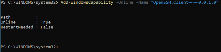 Temporary fix for the OpenSSH client feature install bug [Build 21364]-screenshot-2021-04-22-073246.png