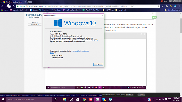 Windows Update, Error when updating Windows 10-screenshot-13-.png
