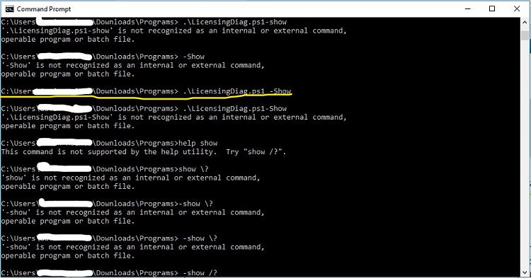 Activation troubleshooting-cmdprmt-licensingdiag_li.jpg