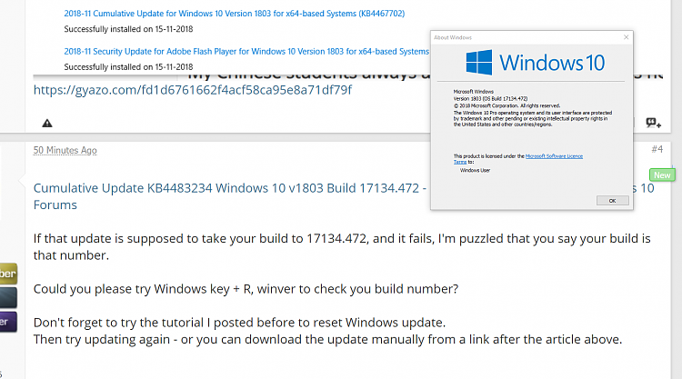 Windows update error 0x8007000d for KB4483234-winver.png