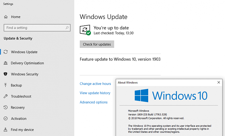 When should I expect  update to 1903 via Windows Update-1809-17763-529-x86-feature-update-no-download-option.png