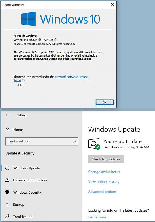 Is Feature Update 1903 Applicable To Windows 10 Enterprise LTSC?-capture.jpg