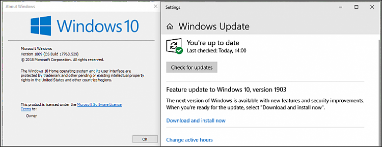 0x80248007 Windows Update Error in W10 1903 update-snap-2019-06-17-12.47.21.png