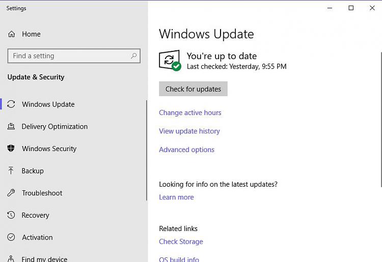 Windows update not available in settings-y1.jpg