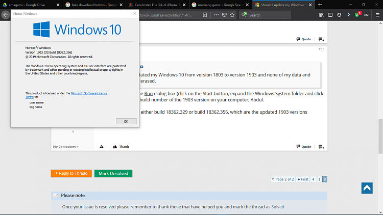 Should I update my Windows 10 version into Windows 10 version 1903?-winver.png