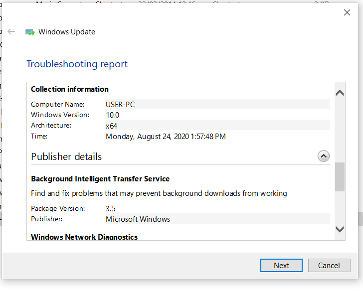 Problem with Windows 10 update-detection-details-2-24-aug-cropped.png