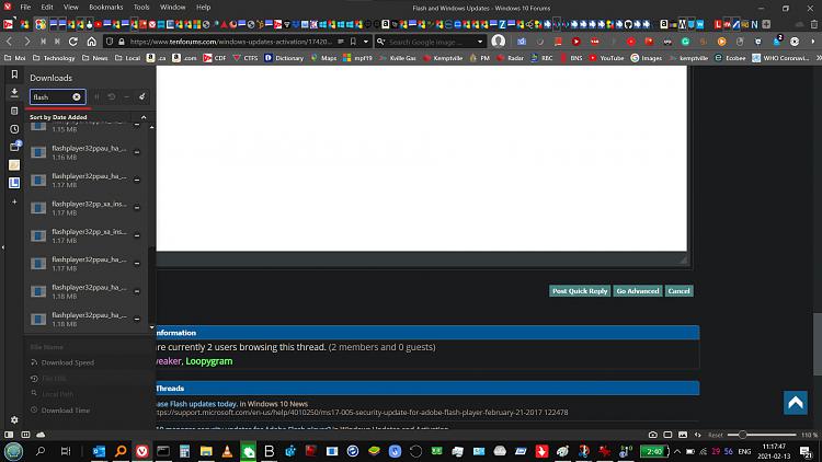 Flash and Windows Updates-0213-download-flashplayer.jpg