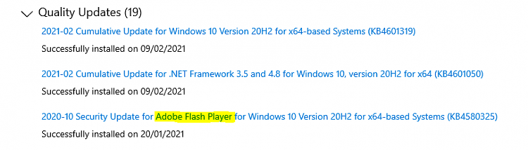 Flash and Windows Updates-image.png
