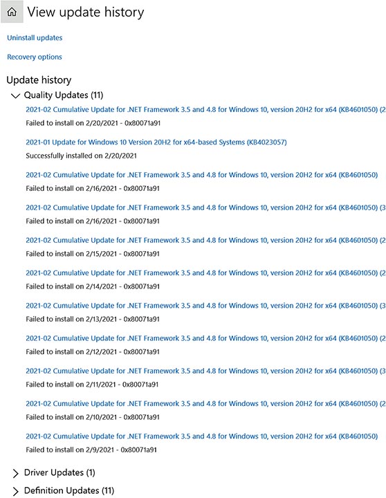 Cum. Update for .NET Framework 3.5 and 4.8 for Win 10 x64 Won't Update-updatehistory_022021.jpg