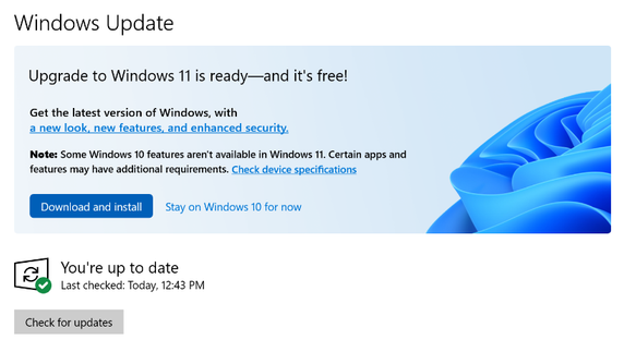 Is There A Danger That Windows 10 Will Automatically Update To 11?-image.png