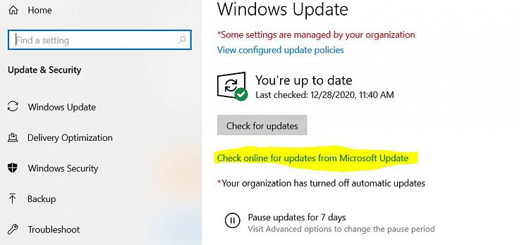 Is there a run command to check for Windows Updates online?-capture.jpg