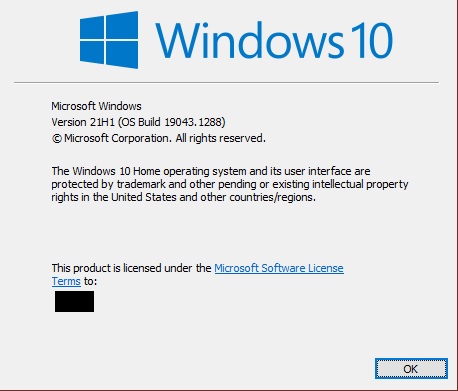 Update Preview offered in Windows Update but the .msu won't download.-windows-version.jpg