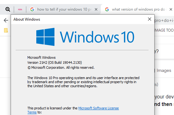 Microsoft Windows 10 Pro licence(s) 