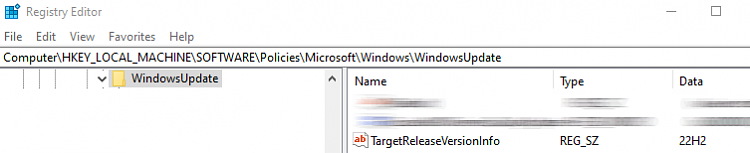 Unexpected &quot;Update&quot; to Windows 11-target-version-22h2.png