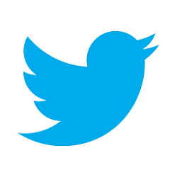 New Twitter PWA update released - January 10, 2022